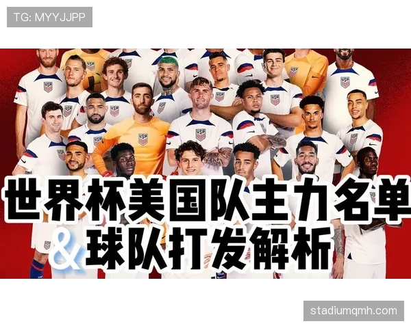世界杯美国队D组实力对比分析